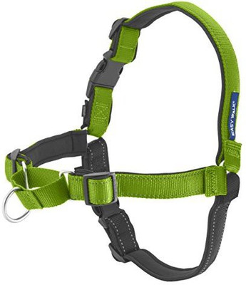 

PetSafe Dog Training Harness(, Multicolor