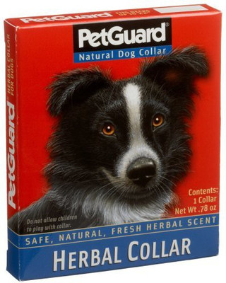 

Generic Dog Everyday Collar(, Multicolor
