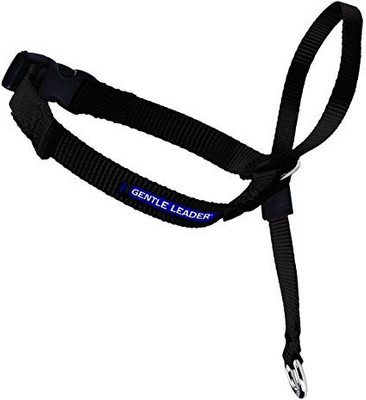 

PetSafe Dog Everyday Collar(, Multicolor
