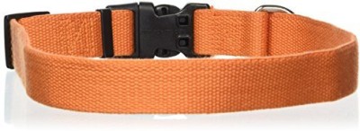 

Generic Dog Everyday Collar(, Multicolor