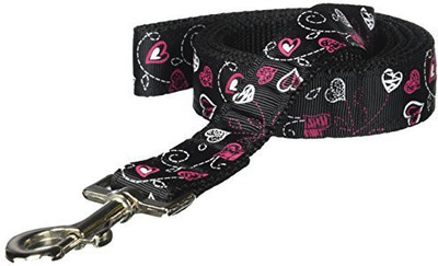 

Mirage Pet Products Dog Collar & Leash(, Multicolor