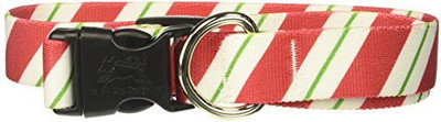 

Yellow Dog Design Dog Everyday Collar(, Multicolor