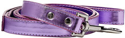 

Mirage Pet Products Dog Everyday Collar(, Purple