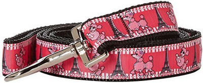 

Mirage Pet Products Dog Everyday Collar(, Multicolor