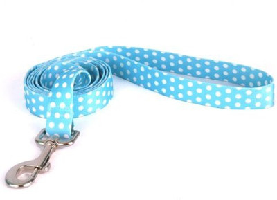 

Yellow Dog Design Dog Collar & Leash(, Multicolor