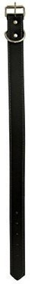 Bulk Buys Dog Everyday Collar(, Multicolor