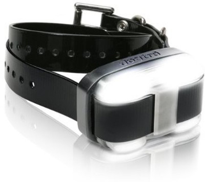 Generic Dog Collar & Leash(, Multicolor