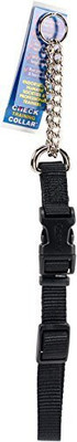 

Coastal Pet Dog Everyday Collar(, Multicolor