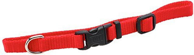 

Coastal Pet Dog Everyday Collar(, Red