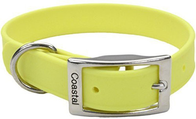 

Coastal Pet Dog Everyday Collar(, Multicolor
