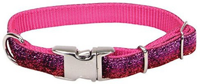 

Coastal Pet Dog Everyday Collar(, Pink