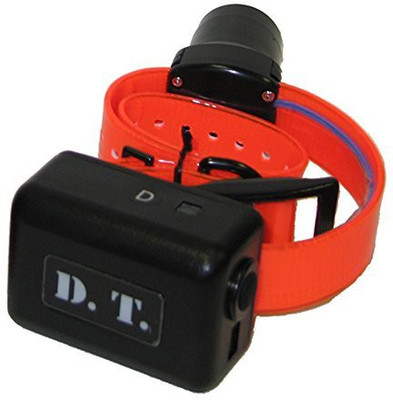 

Generic Dog Everyday Collar(, Orange