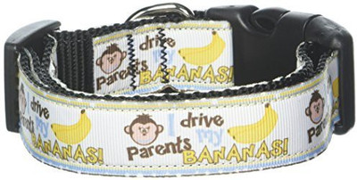 

Mirage Pet Products Dog Everyday Collar(, Multicolor