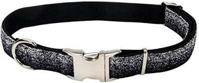 

Coastal Pet Dog Everyday Collar(, Multicolor