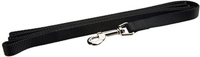Coastal Pet Dog Everyday Collar(, Multicolor