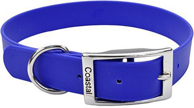 

Coastal Pet Dog Everyday Collar(, Multicolor