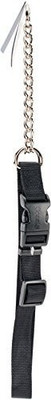 

Coastal Pet Dog Everyday Collar(, Multicolor