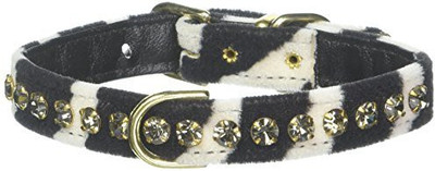 

Mirage Pet Products Dog Everyday Collar(, Multicolor