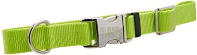 

Coastal Pet Products Dog Everyday Collar(, Multicolor