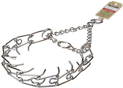 

Coastal Pet Dog Everyday Collar(, Steel