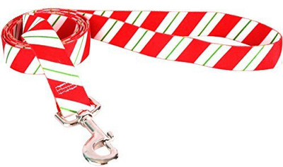 

Yellow Dog Dog Collar & Leash(, Multicolor