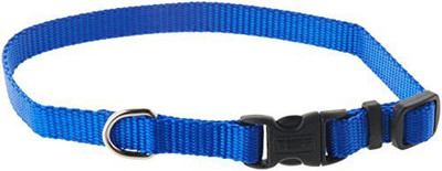 

Coastal Pet Dog Everyday Collar(, Multicolor