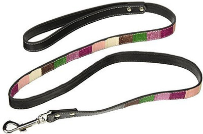 

Mirage Pet Products Dog Everyday Collar(, Multicolor