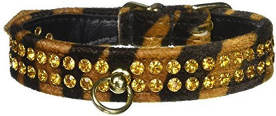 

Mirage Pet Products Dog Everyday Collar(, Multicolor