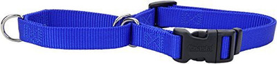 

Coastal Pet Dog Martingale Collar(, Multicolor