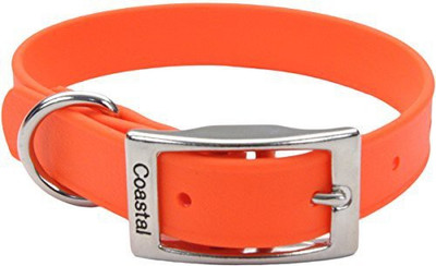 

Coastal Pet Dog Everyday Collar(, Multicolor