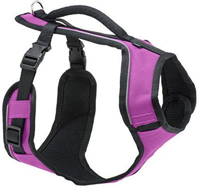 

PetSafe Dog Training Harness(, Multicolor