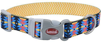 

Coastal Pet Dog Everyday Collar(, Multicolor