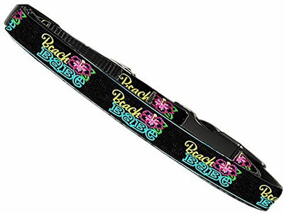 

Mirage Pet Products Cat Everyday Collar(, Multicolor