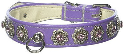 

Mirage Pet Products Dog Everyday Collar(, Purple
