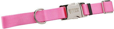 

Coastal Pet Dog Everyday Collar(, Pink