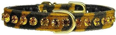 

Mirage Pet Products Dog Everyday Collar(, Multicolor