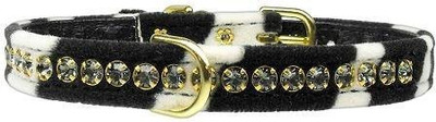 

Mirage Pet Products Dog Everyday Collar(, Multicolor