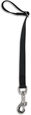 

Generic Dog Collar & Leash(, Multicolor