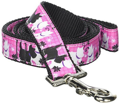 

Mirage Pet Products Dog Everyday Collar(, Multicolor