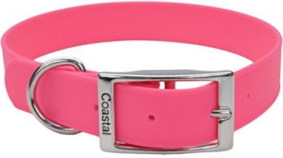 

Coastal Pet Dog Everyday Collar(, Multicolor