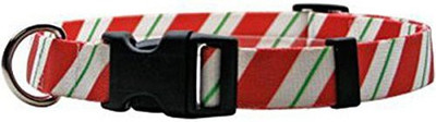 

Yellow Dog Design Dog Everyday Collar(, Multicolor
