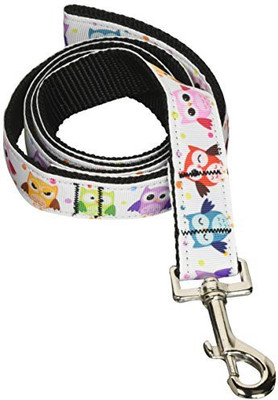 

Mirage Pet Products Dog Everyday Collar(, Multicolor