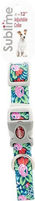 

Coastal Pet Dog Everyday Collar(, Multicolor