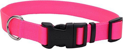 

Coastal Pet Dog Everyday Collar(, Multicolor