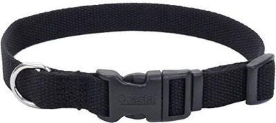

Coastal Pet Dog Everyday Collar(, Multicolor