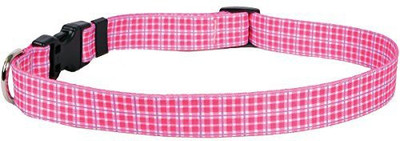 

Yellow Dog Design Dog Everyday Collar(, Multicolor