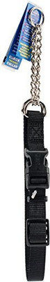 

Coastal Pet Dog Everyday Collar(, Multicolor