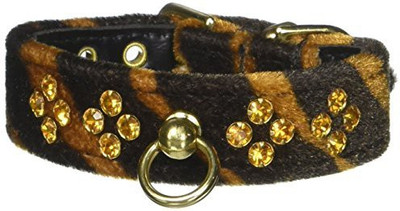 

Mirage Pet Products Dog Everyday Collar(, Multicolor