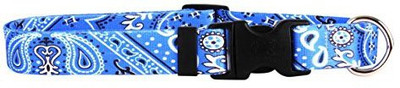 

Yellow Dog Design Dog Everyday Collar(, Multicolor