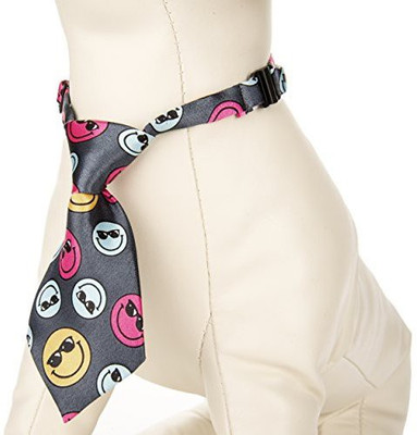 

CUE CUE Pet Dog Everyday Collar(, Multicolor